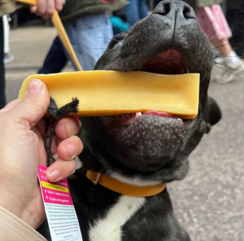 Yak Chew for dogs, a perfect extra long lasting chew for all dogs, available now at PetBuddy.