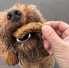Fluffy brown dog being offered a duck neck treat by a hand, with a close-up of the dog's face and the treat, 100% natural duck necks treat for dogs, low-fat, ideal for sensitive stomachs, available at PetBuddy.