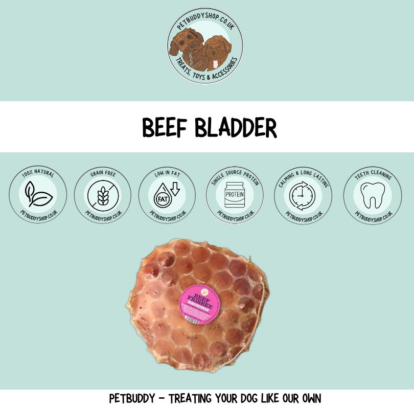 JR Pet Products Beef Frisbee natural dog treat, perfect for a long lasting dog chew. 