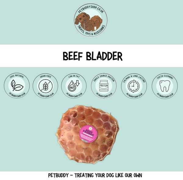 JR Pet Products Beef Frisbee natural dog treat, perfect for a long lasting dog chew. 