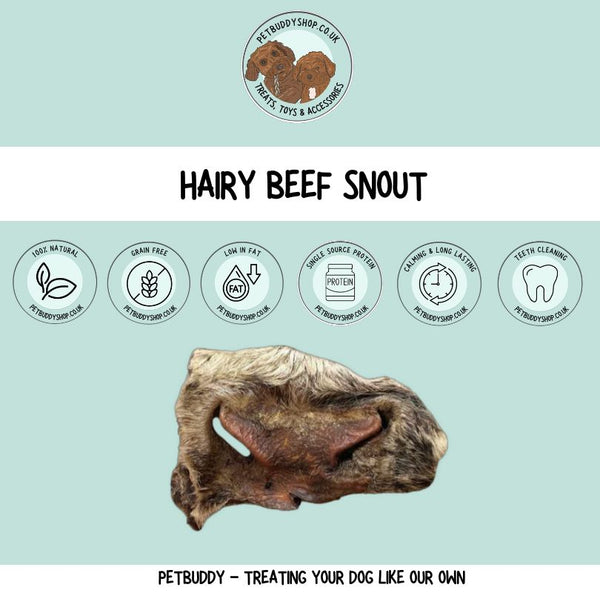 Hairy Beef Snout which is a perfect natural long lasting dog chew.