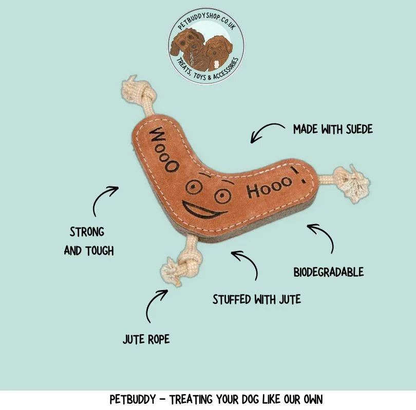 benny the boomerang eco dog toy for aggressive chewers