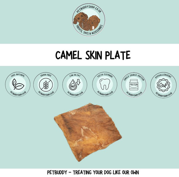 Natural camel skin dog chew – long lasting hypoallergenic dog chew for dental health