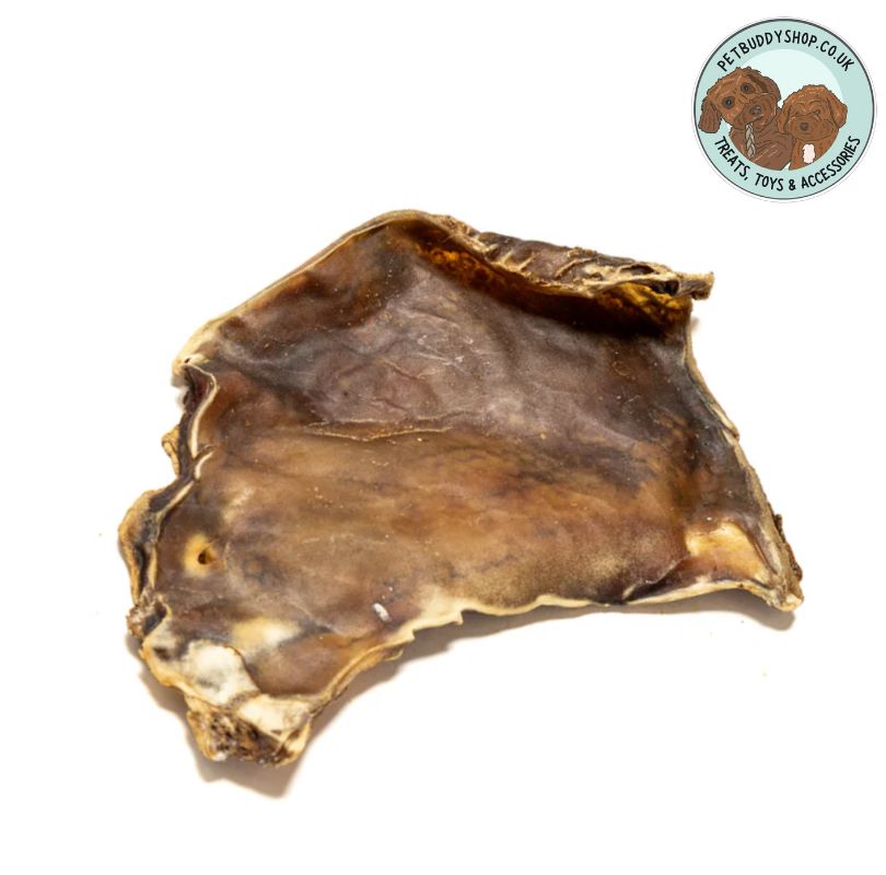 Camel Skin Plate Dog Treats, a 100% natural and hypoallergenic, long lasting dog chew perfect for dogs with sensitive tummies.
