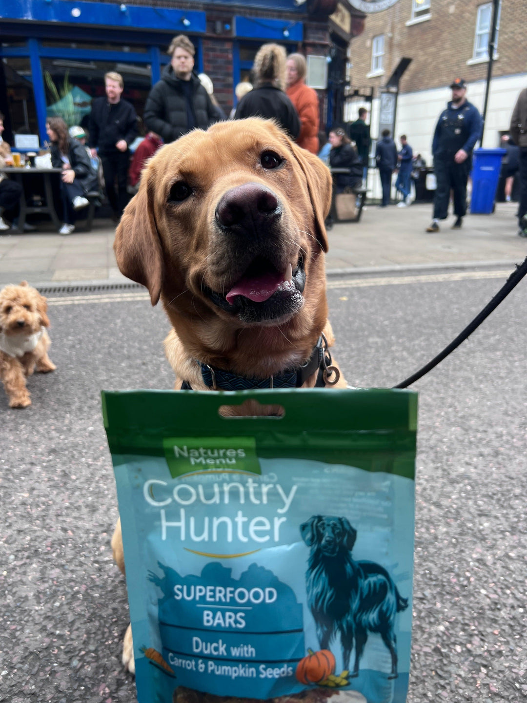 Country Hunter Superfood Bars - PetBuddy