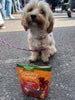 Country Hunter Superfood Bars - PetBuddy