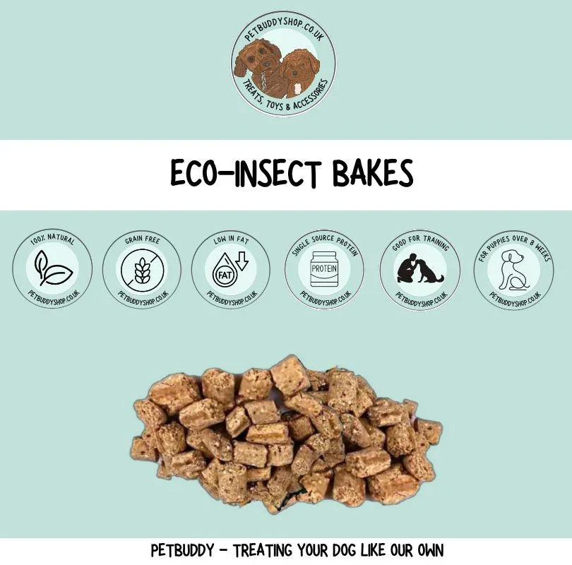 Eco-insect bakes dog training treats 