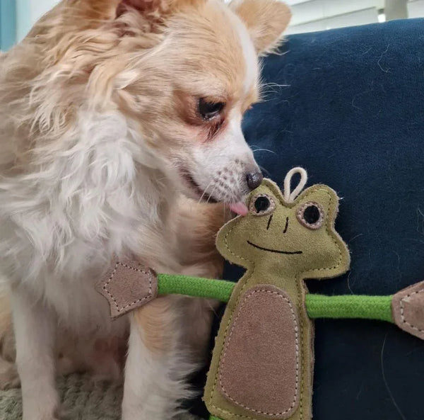 Green & Wilds Francois le Frog Eco Dog Toy.