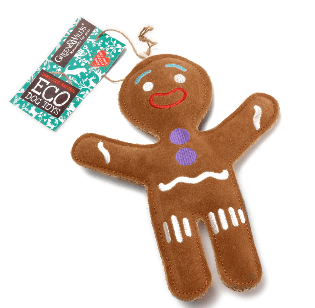 Genie Gingerbread Eco Dog Toy - PetBuddy