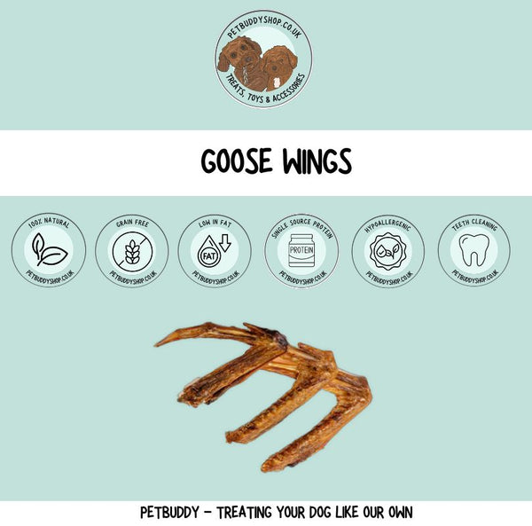 Goose wings for dogs 