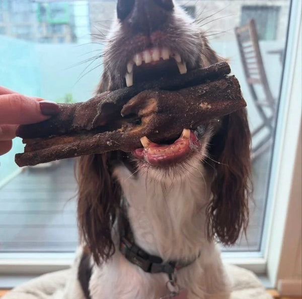 Green & Wilds Brilliant Beef Collagen Chews – 100% natural beef collagen treat for dogs, low-fat, long lasting chew, ideal for sensitive stomachs, available at PetBuddy.