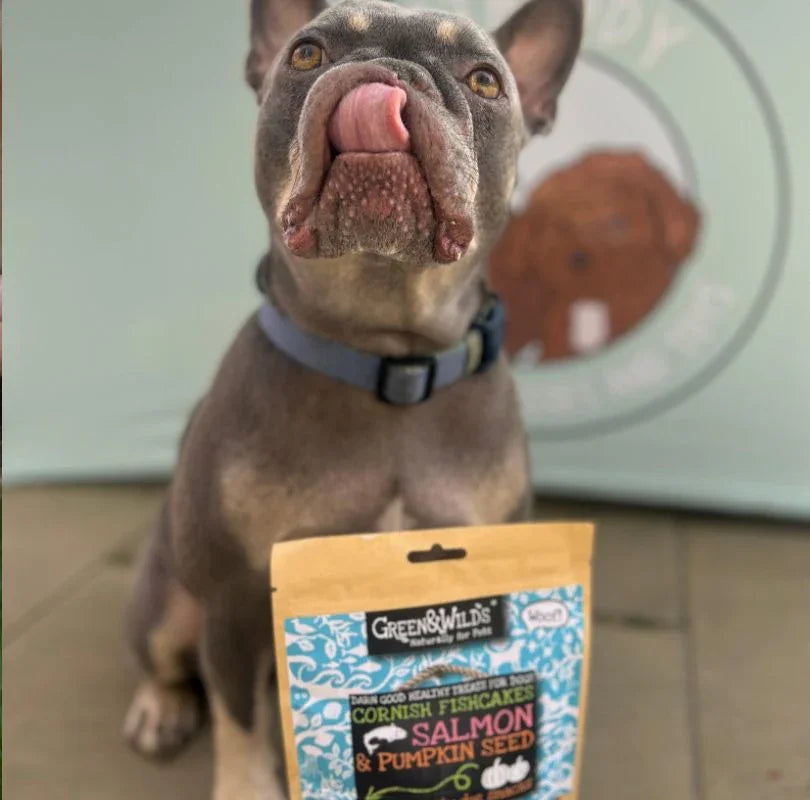 Cornish Fishcakes with Salmon and Pumpkin Seeds, natural, cookie shaped and tasty dog treats that are great for digestion. 