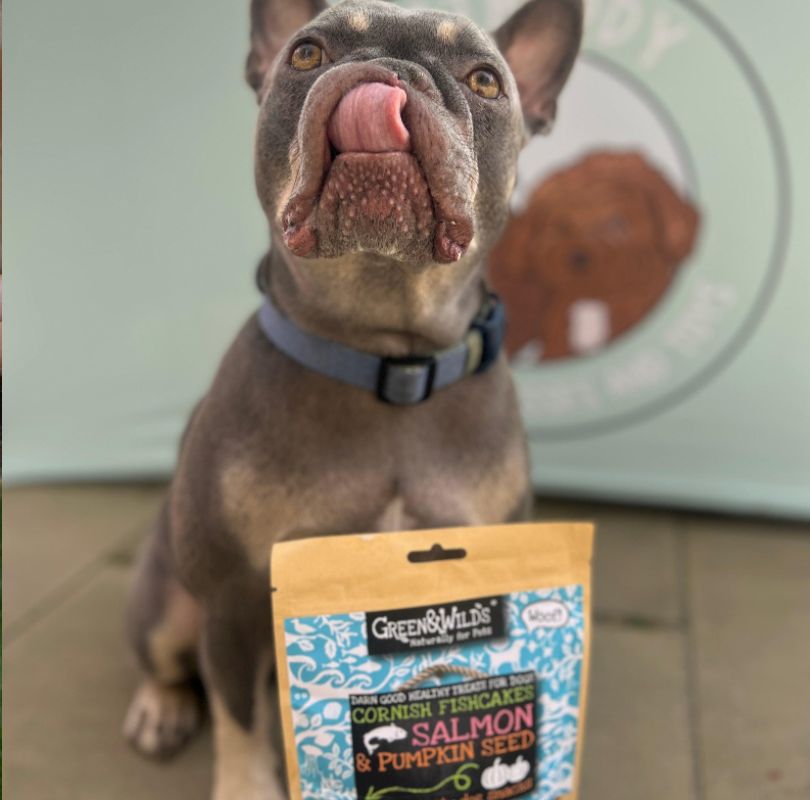 Cornish Fishcakes with Salmon and Pumpkin Seeds, natural, cookie shaped and tasty dog treats that are great for digestion. 