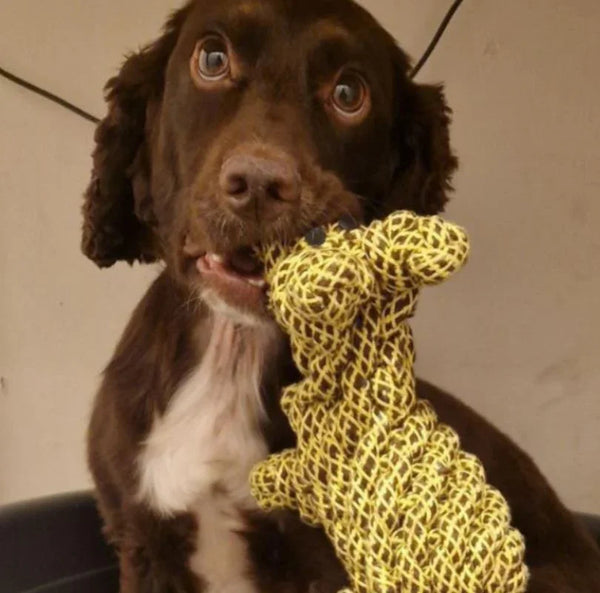 Green & Wilds Lionel Llama Eco Dog Toy, made from jute and with a recycled plastic bottle inside, it's a perfect dog toy for all dogs, available from PetBuddy.