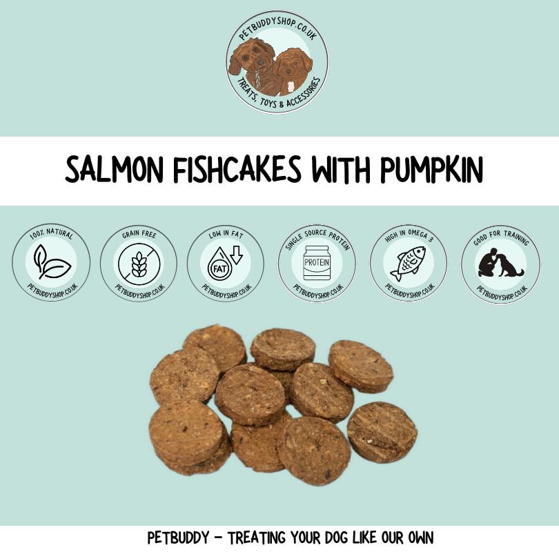 Green and Wilds Fishcakes with Salmon and Pumpkin Natural Dog Treats, perfect for training.