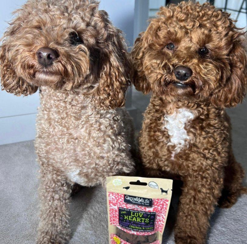 Green & Wilds Luv Hearts, the perfect little training or on the go treats for dogs. Made with chicken and liver, they're soft, delicious and available now at PetBuddy.