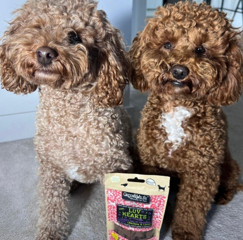 Green & Wilds Luv Hearts, the perfect little training or on the go treats for dogs. Made with chicken and liver, they're soft, delicious and available now at PetBuddy.