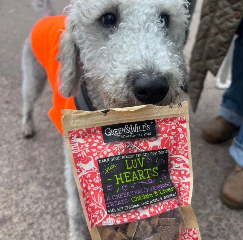 Green & Wilds Luv Hearts, the perfect little training or on the go treats for dogs. Made with chicken and liver, they're soft, small, delicious and available now at PetBuddy.