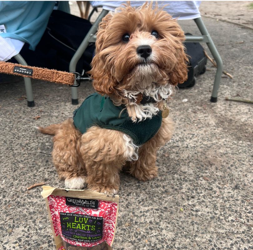 Green & Wilds Luv Hearts, the perfect little training treats for dogs. Made with chicken and liver, they're soft, delicious and available now at PetBuddy.