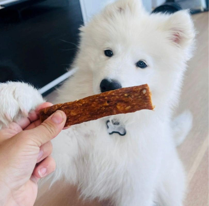 Green & Wilds Pheasant chews, 100% natural and air-dried pheasant jerky. Soft, chewy and a perfect dog treat for all breeds and sizes. Easy to break into smaller pieces for training treats.