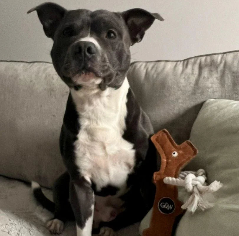 Green & Wilds Stick Man Eco Dog Toy, a large dog toy made with by-products and natural fibres, with rope arms and rope legs, he's great for throwing around and playing tug of war with.