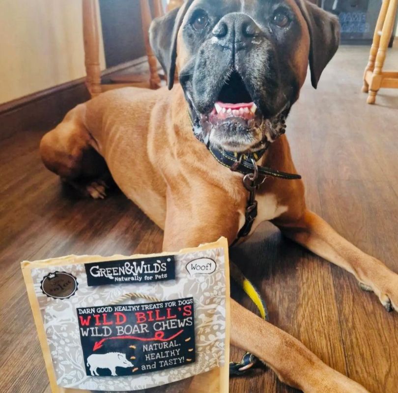 Green & Wilds Wild Boar chews, 100% natural and air-dried wild boar jerky. Soft, chewy and a perfect dog treat for all breeds and sizes. Easy to break into smaller pieces for training treats.