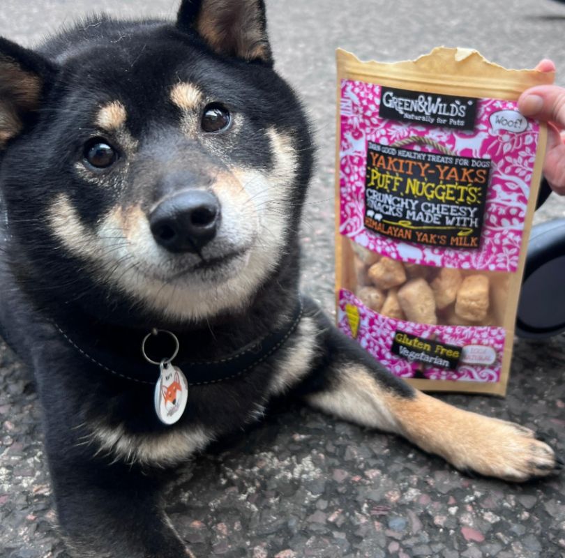Green & Wilds Yak Puff Nuggets, the perfect crunchy treat your dog will love! 