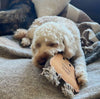 White dog chewing on a Green & Wilds You're Toast eco dog toy, made from Suede and Jute. A perfect gift for your dog from PetBuddy that's great for playing fetch with. 