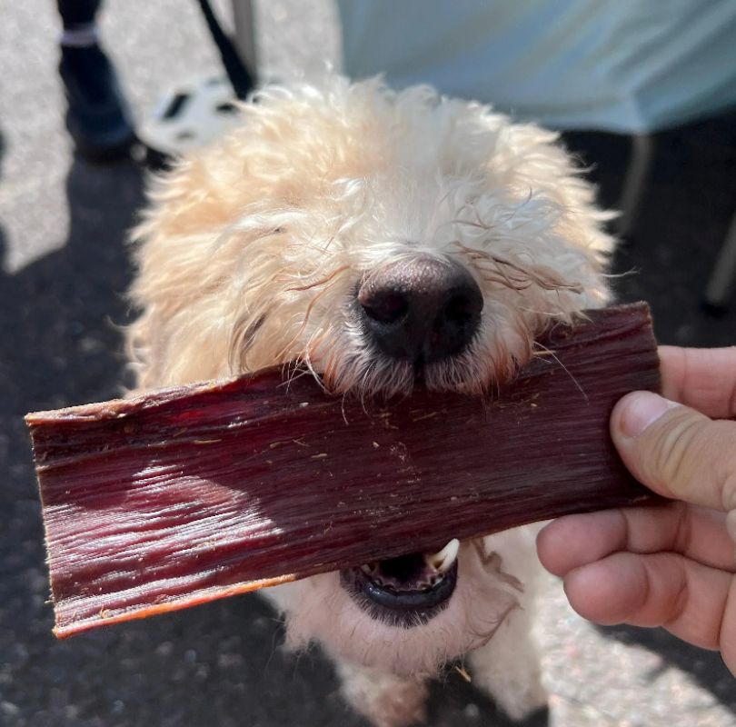 JR Pet Products Beef Flatties dog treats, natural beef gullet thats a perfect anytime natural dog treat for all breeds and sizes. 