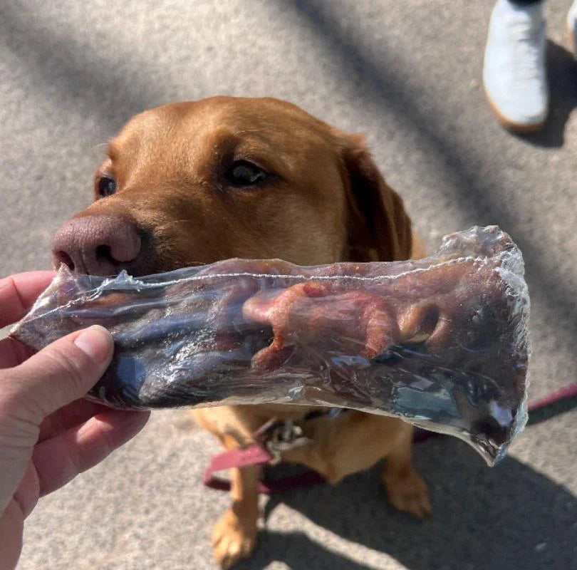 JR Pet Products Beef Snout dog treat being sniffed by a large brown dog.