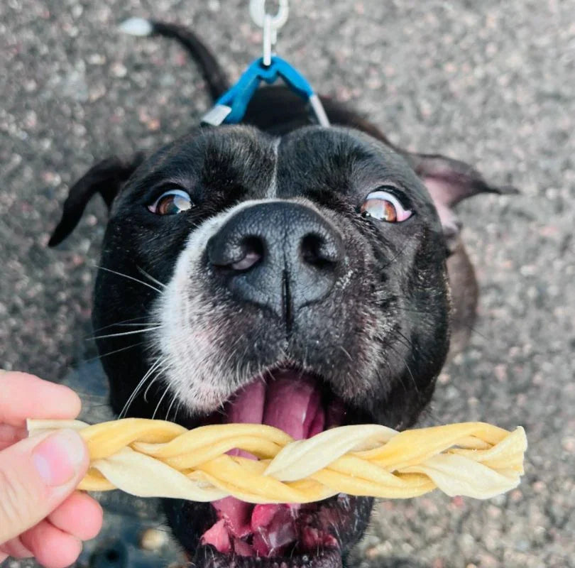 JR Pet Products Braided Lamb Skin dog treats, the perfect odourless dog chew. 