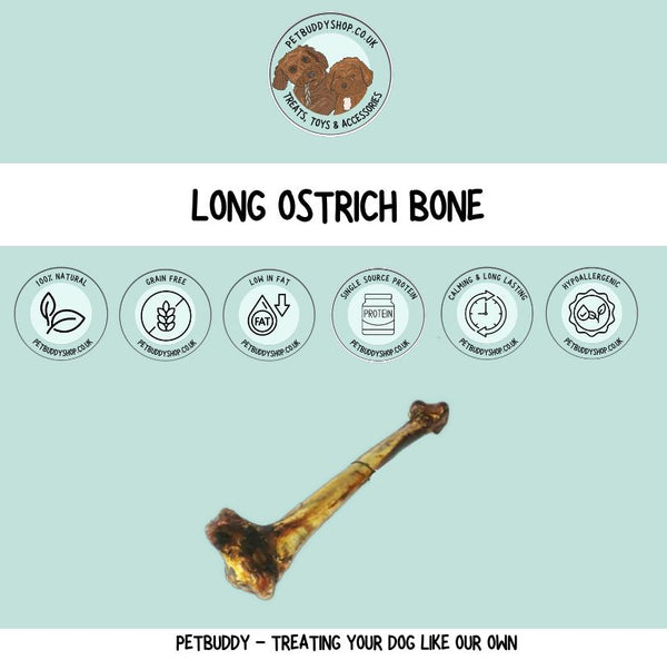 JR Pet Products Ostrich Bone Dog Chews
 – 100% natural Ostrich bone treat for dogs, low-fat, long lasting chew, ideal for sensitive stomachs, available at PetBuddy.