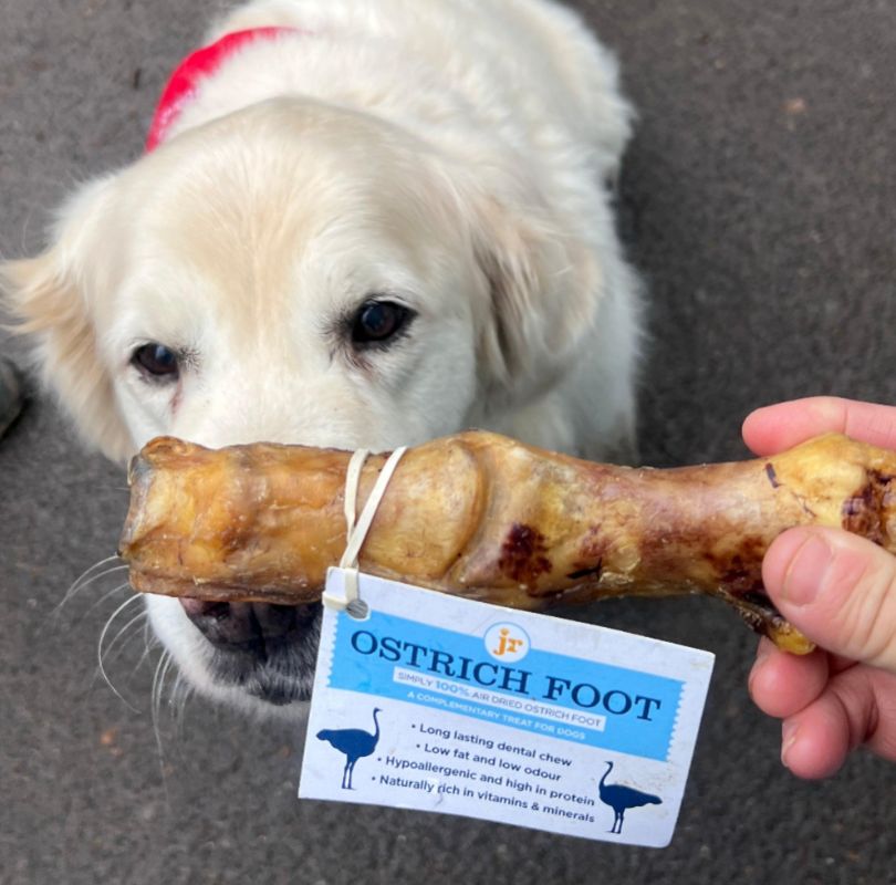 JR Pet Products Ostrich Foot dog chew. Air dried, grain and gluten free and additive and preservative free. perfect as a long lasting natural dog treat.
