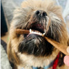 JR Pet Products Ostrich Jerky Dog Treats, a hypoallergenic soft jerky dog treat which is 100% ostrich meat. 