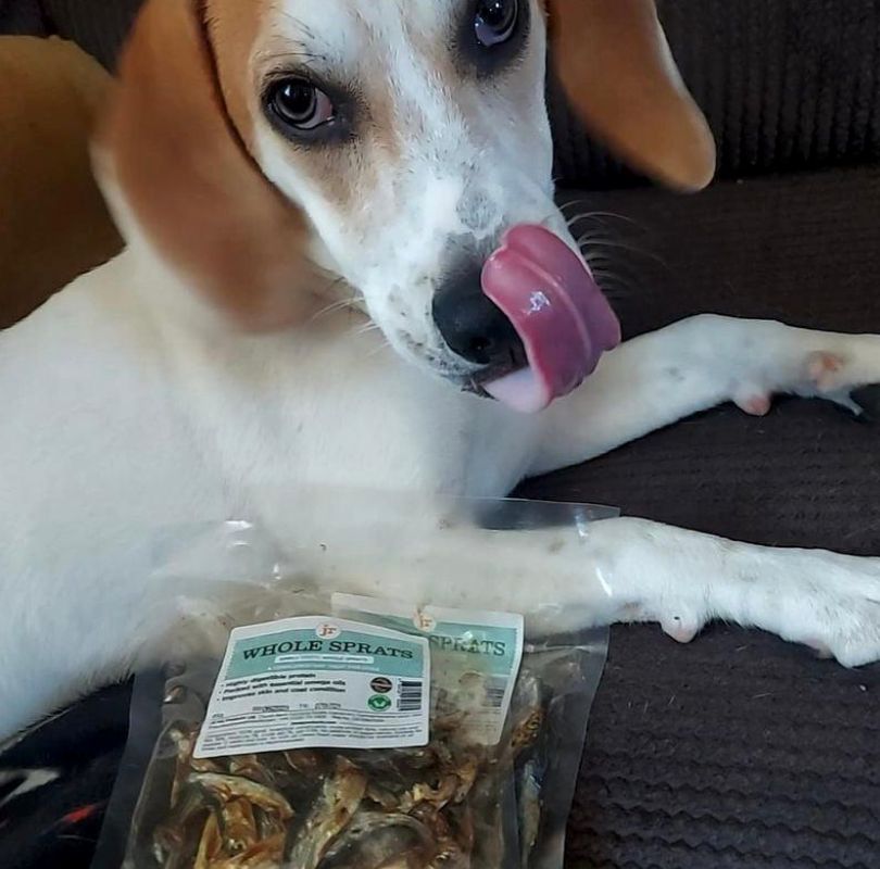 JR Pet Products air-dried Sprats, full of omega 3&6.