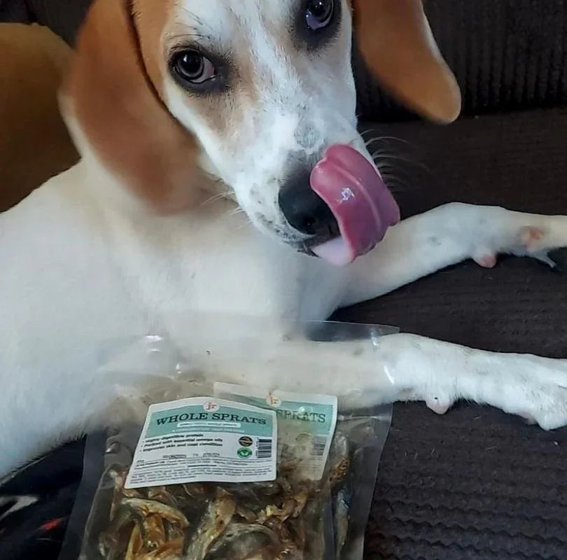 JR Pet Products air-dried Sprats, full of omega 3&6.