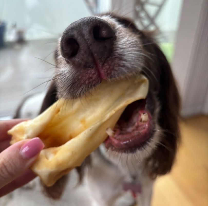 JR Pet Products Goat Ears, an odourless natural dog treat suitable for dogs of all breeds and sizes.