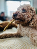 JR Pet Products Natural Twists Dog Treats | Beef Bladder - PetBuddy