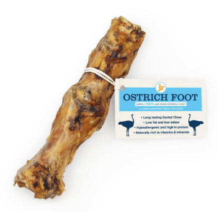 JR Pet Products Ostrich Foot Dog Treat |15CM - PetBuddy