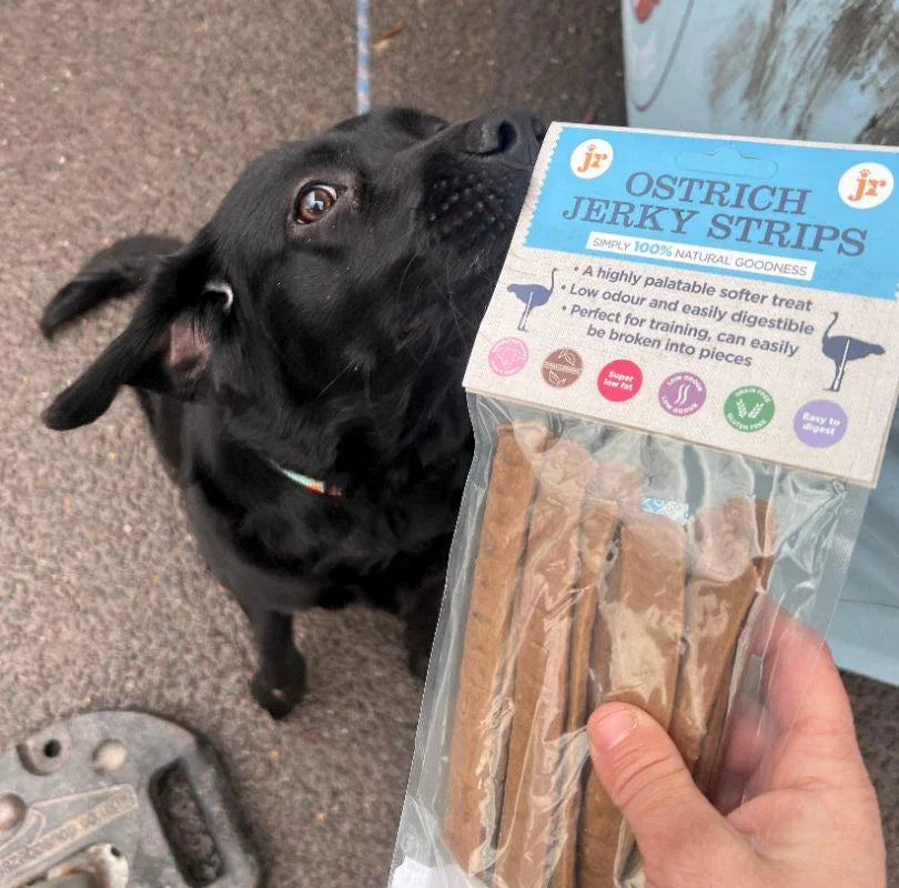 JR Pet Products Ostrich Jerky Dog Treats, a hypoallergenic soft jerky dog treat which is 100% ostrich meat. 