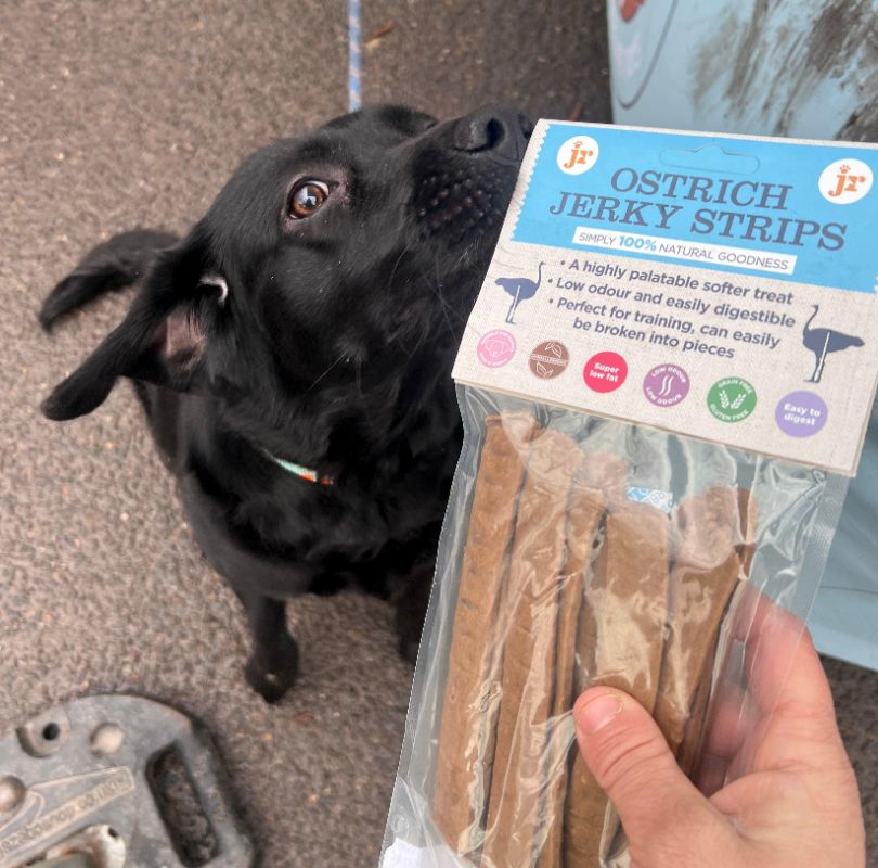 JR Pet Products Ostrich Jerky Dog Treats, a hypoallergenic soft jerky dog treat which is 100% ostrich meat. 