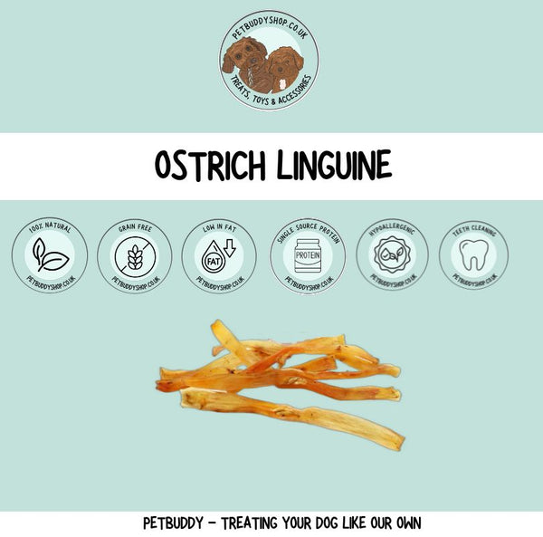 jr pet products ostrich linguine dog chews