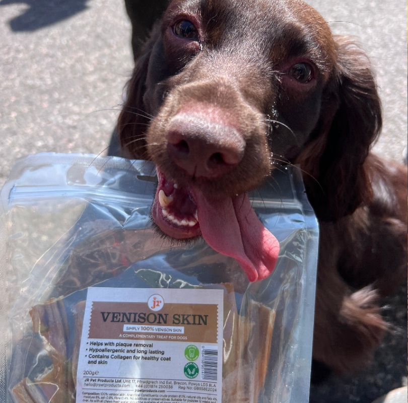 JR Pet Products Rolled Venison Skin Dog Treats, long lasting, low odour and 100% natural, available now at PetBuddy.