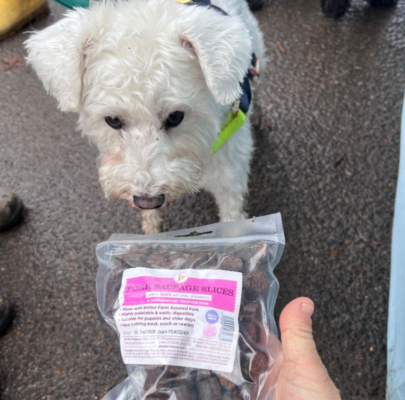 JR Pet Products Pork Sausage Slices dog training treats – 100% natural pork sausage slices for dogs, low-fat, delicious treat, ideal for dogs of all sizes and breeds, available at PetBuddy.