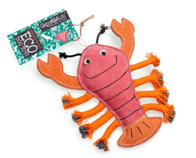 Larry The Lobster Eco Dog Toy - PetBuddy