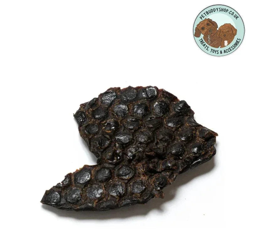 Piece of Nutriment pure air-dried Ostrich Liver which is a great source of iron for your dog, available from PetBuddy.