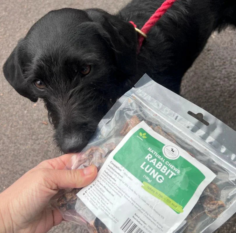 Small black dog sniffing a package of rabbit lung dog treats held by a person's hand.