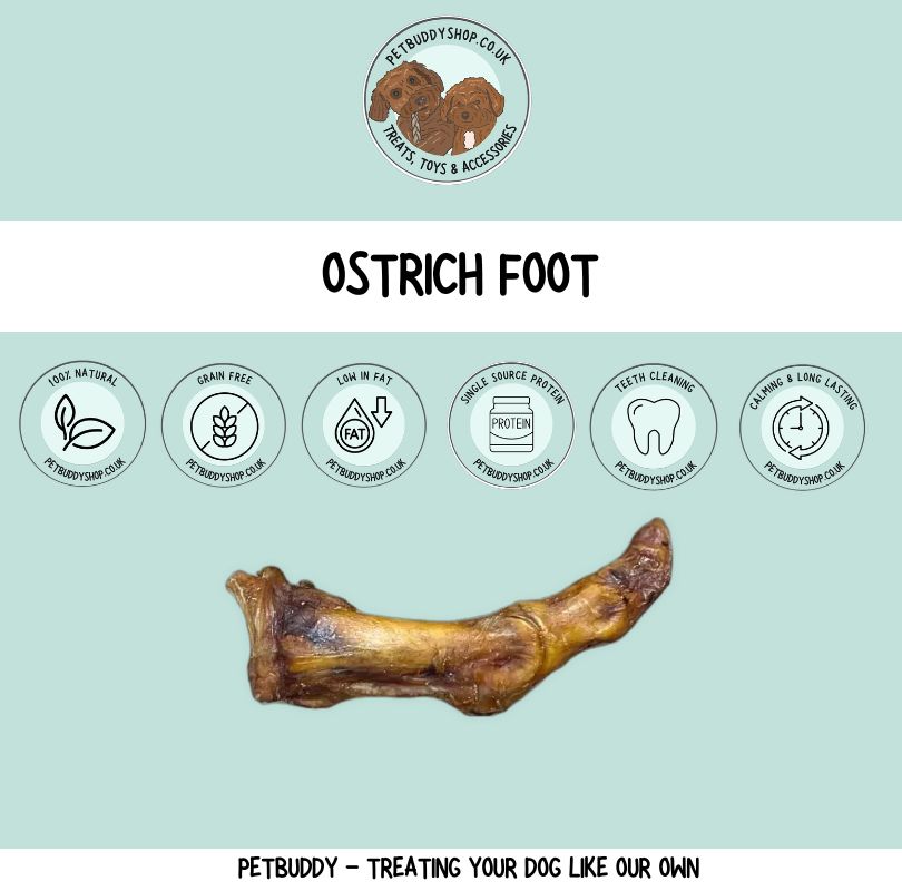 ostrich foot long lasting dog chew, a hypoallergenic chew perfect for dogs with sensitive tummies.