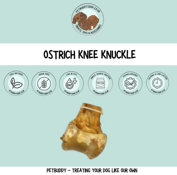 JR Pet Products Ostrich Knuckle Dog Chew – 100% ostrich knuckle treat for dogs, low-fat, long lasting chew, ideal for sensitive stomachs.