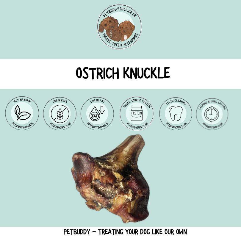 Ostrich knuckle long lasting dog chew, a hypoallergenic natural chew for all dogs.